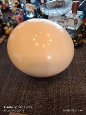 oeuf d autruche hauteur 14 cm