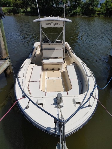 Correct craft fish - correct,