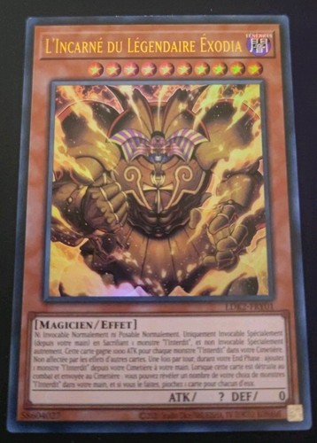Carte yugioh incarne - carte, l'incarne