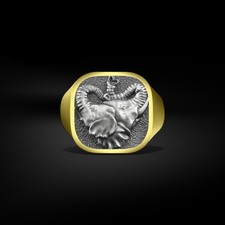 Bague chevalière homme - , en