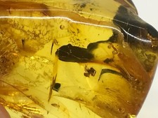 Pièce de pierre ambre de la