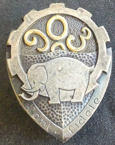 Insigne rare 903 cie - 903-6, camions
