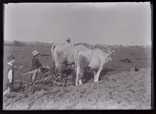 Vie travaux agricoles - vie,