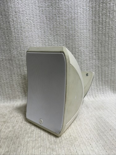 Single one white focal - single, sib