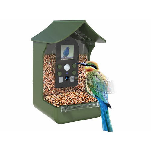 Mangeoire oiseaux avec - à,