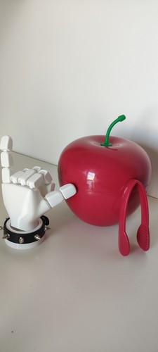 Bac glaçons pomme vintage - glaçons,