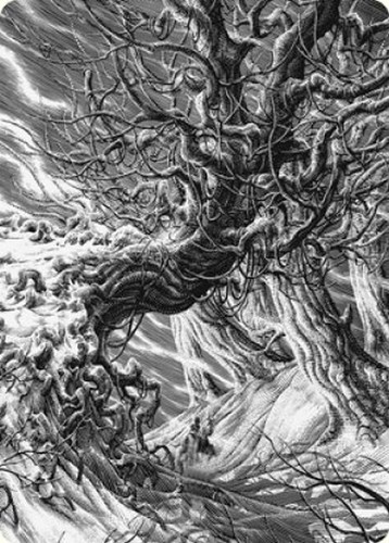 Magic art séries noce - séries,