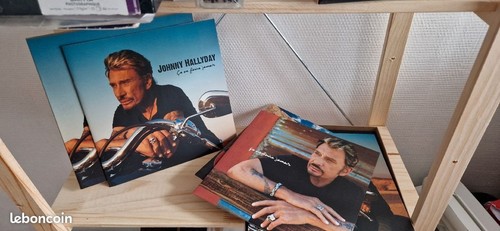 Johnny hallyday finira - johnny, ne