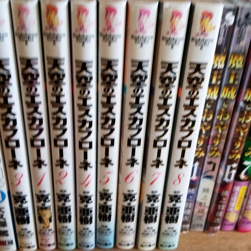Escaflowne vision tenku no - of,