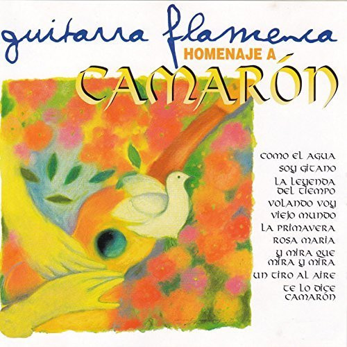 Guitarra flamenca homenaje - flamenca, a