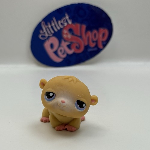 Hamster authentic - hamster,