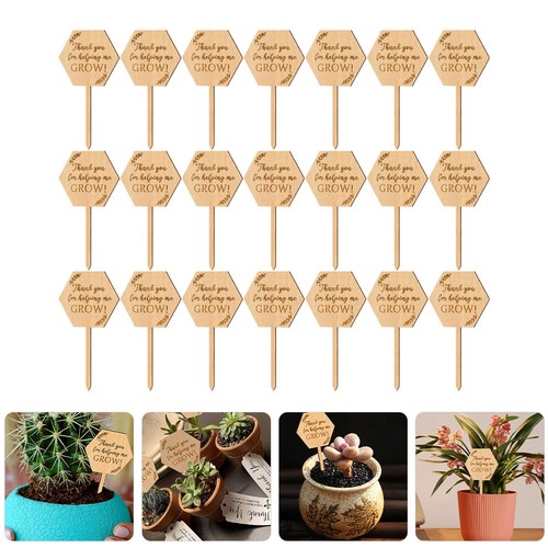 Pcs étiquettes jardin - Étiquettes,