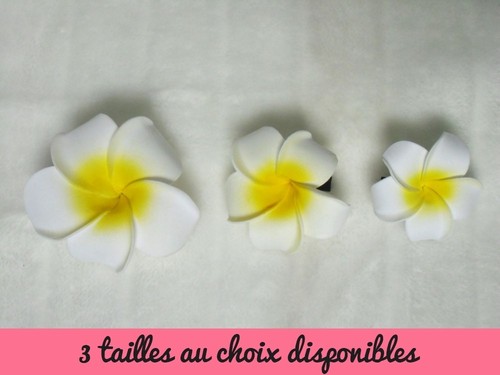 Pince clip barette - , cheveux