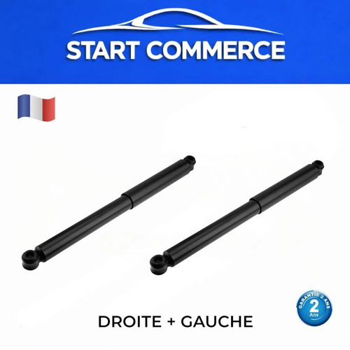 Amortisseurs arrière - 2,