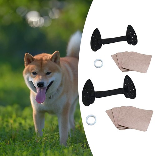 Support pour chiots berger - pour,