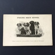 CPA Publicitaire Vente De Chiens Chenil KENNEL English Dog’s Mont Thabor Paris
