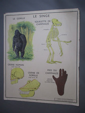 AT190 AFFICHE SCOLAIRE ECOLE