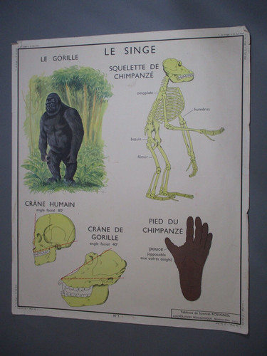 At190 affiche scolaire - affiche, ecole
