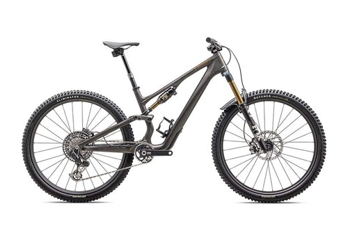2025 specialized works - 2025,