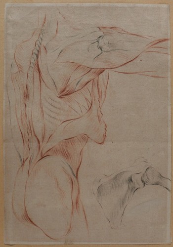 Dessin ancien corps humain - corps,