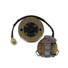 Stator D'Alternateur Lima Générateur Sundiro D1E41FM (D) Qingqi QM50QW-A/B QM50Z