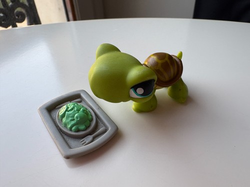 Petshop tortue 230 - petshop,
