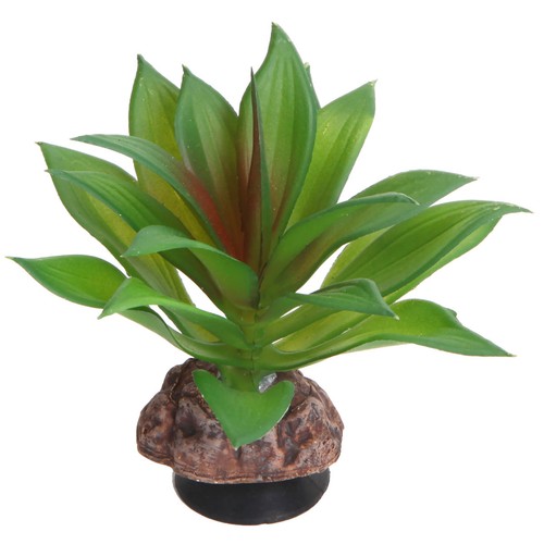 Hobby terra plante - hobby,