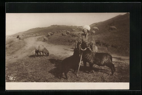 Carte postale roumanie berger - carte,