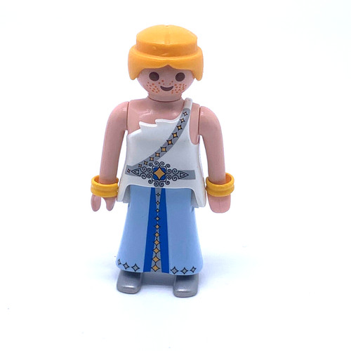 Playmobil pays magique - *,