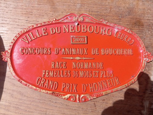 Grande plaque concours ville - ,