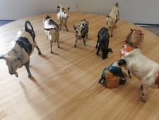 Animaux vaches taureaux - vaches, 2