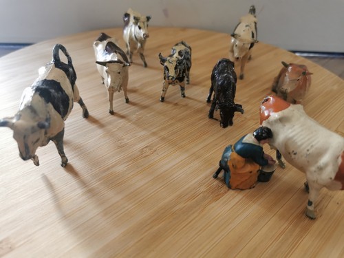 Animaux vaches taureaux - animaux,