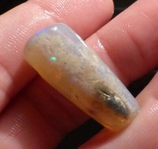 Fossile pipe belemnite - o&co,
