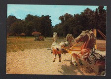 SAINTE-GENEVIEVE-des-BOIS (91)