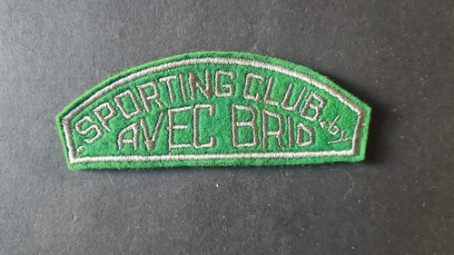 Badge insigne tissu brodé - tissu,