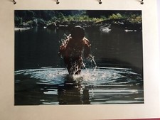 album 70 photo divers couleurs 24x18 cm par un photographe amateur 1990