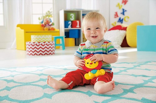 Fisher price amis jungle - fisher-price,