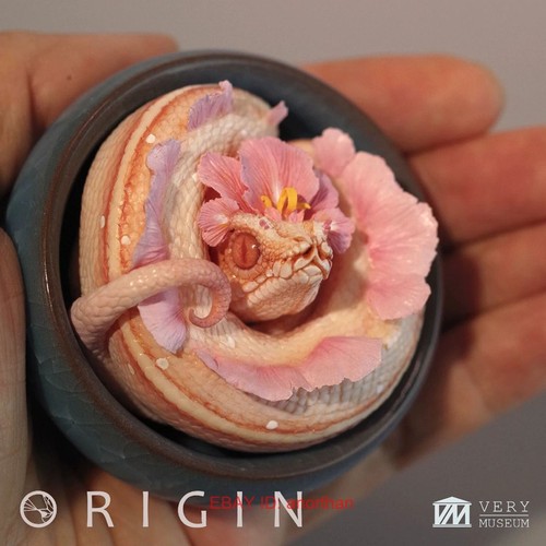 Origin verymuseum albino bloom - verymuseum,