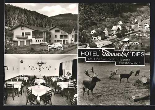 Carte postale dies - carte,
