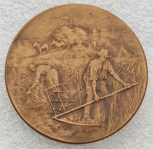 Medaille societe agriculture - medaille,
