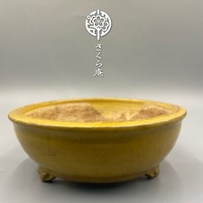 Pot à bonsái japonais