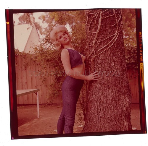 Sexy pin 1970s - pin-up, transparent
