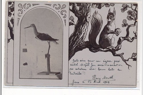 Giens maquette naturalisme - giens,
