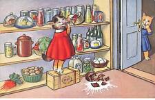 CHAT #35282 CHATS CAT KATZE