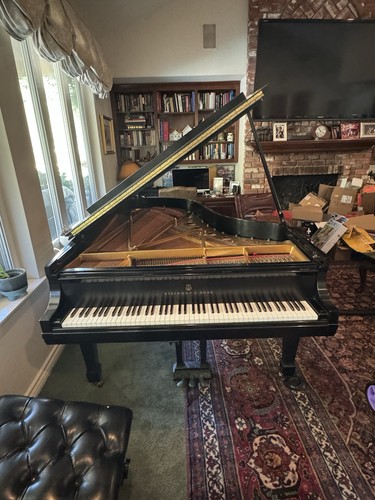 Steinway grand piano model - piano,