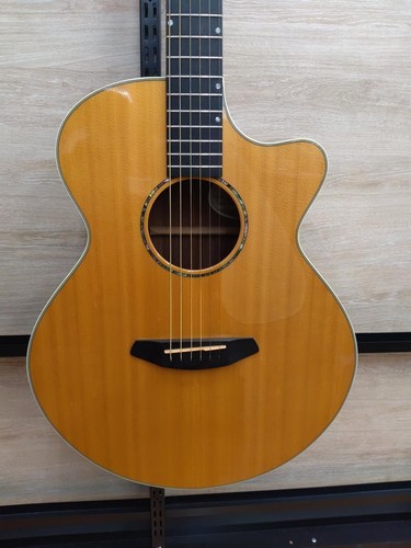 Guitare acoustique électrique