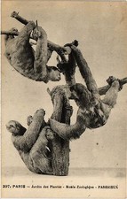 CPA Paris 5e-Jardin des