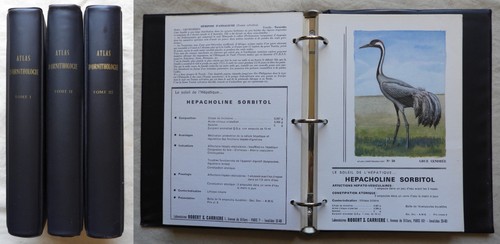 Atlas ornithologie 1965 67 - atlas, d'ornithologie