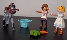 Playmobil 70696 pièces