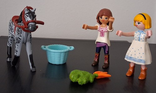 Playmobil 70696 pièces